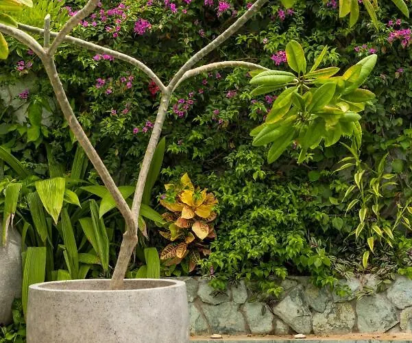 Hotel Zen Garden - Adults Only 3*