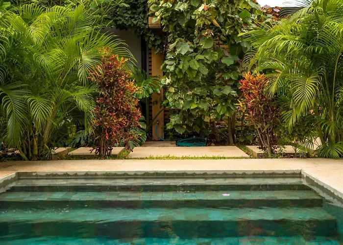 Zen Garden - Adults Only Hotel Tamarindo