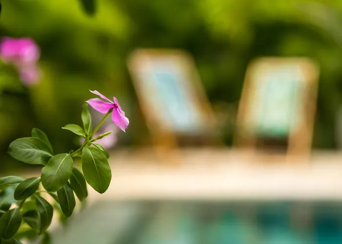Zen Garden - Adults Only 3*