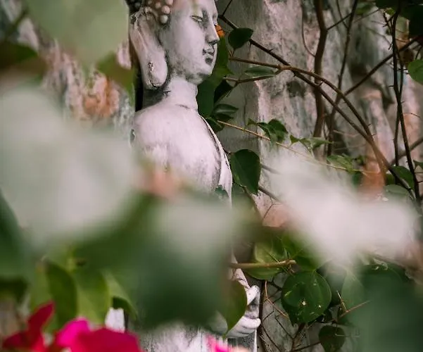 Zen Garden - Adults Only Hotel