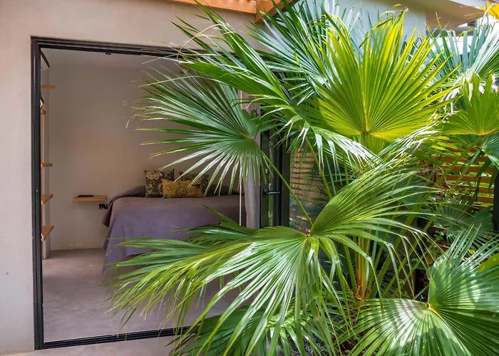 Zen Garden - Adults Only Tamarindo