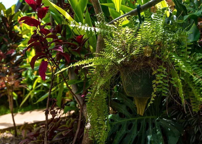 Hotel Zen Garden - Adults Only Tamarindo
