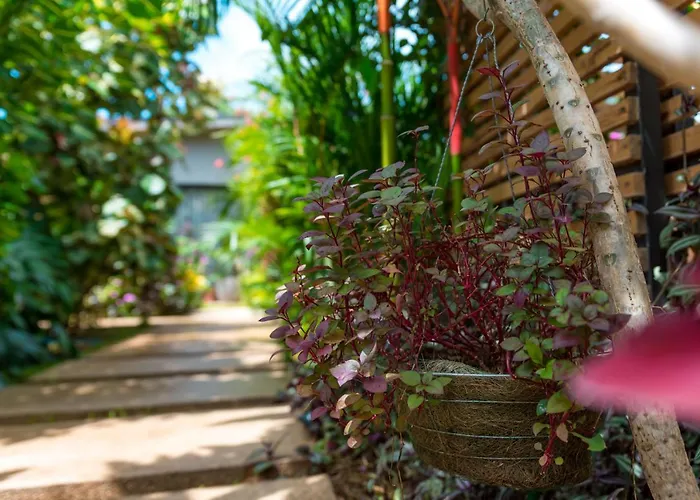 Hotel Zen Garden - Adults Only Tamarindo