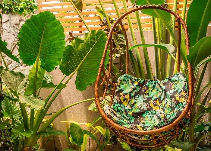Zen Garden - Adults Only 3* Tamarindo