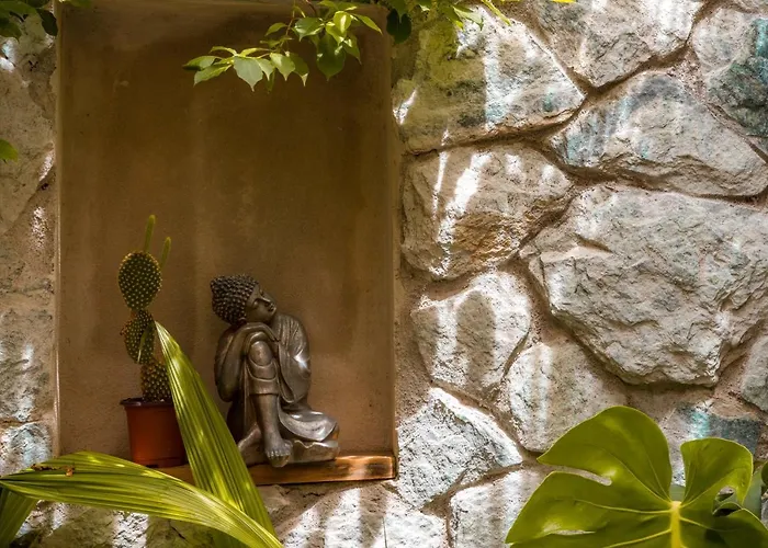 Zen Garden - Adults Only 3* Tamarindo