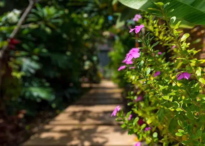 Hotel Zen Garden - Adults Only